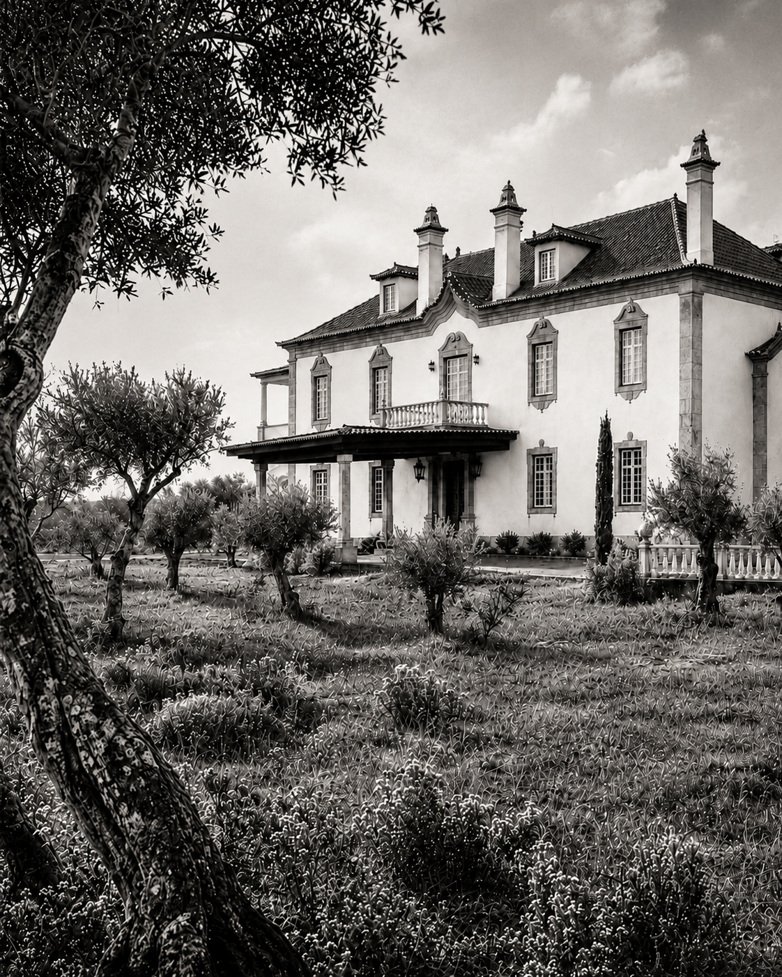 Heritage Solar image